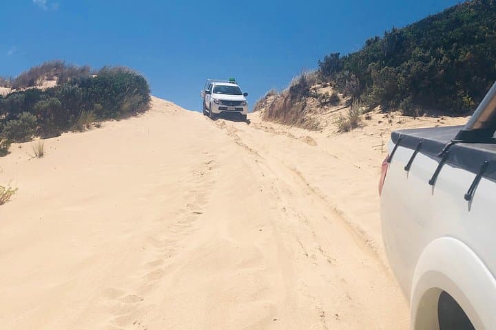 Robe & Beachport 4x4 Tag-Along Beach Tour — Dunes, Lagoons and Coastal Cliffs photo 3