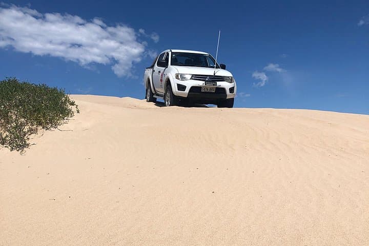 Robe & Beachport 4x4 Tag-Along Beach Tour — Dunes, Lagoons and Coastal Cliffs photo 6