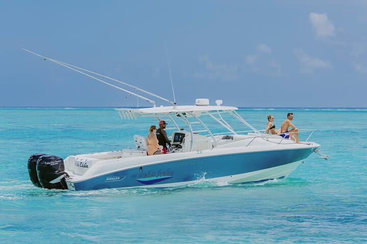 Private Stingray City Charter in Grand Cayman: Half-Day Snorkel & Sandbar Adventure photo 1