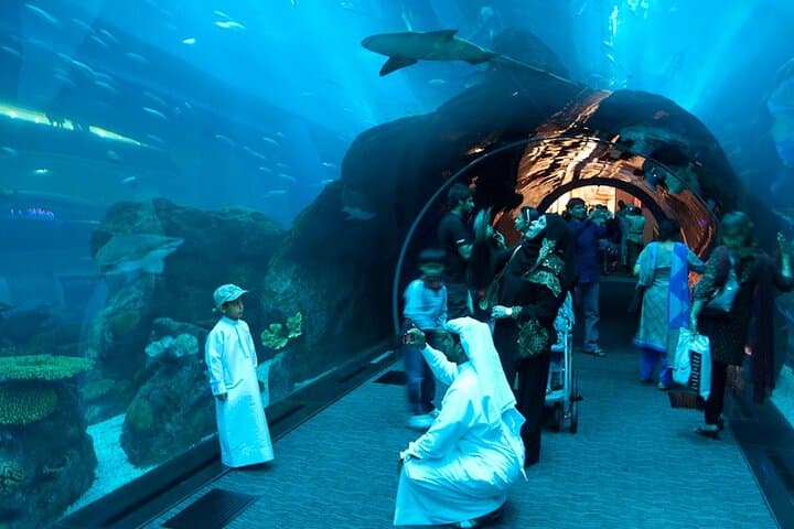 Burj Khalifa and Dubai Aquarium Combo: Top Views and Underwater Tunnel Guide
