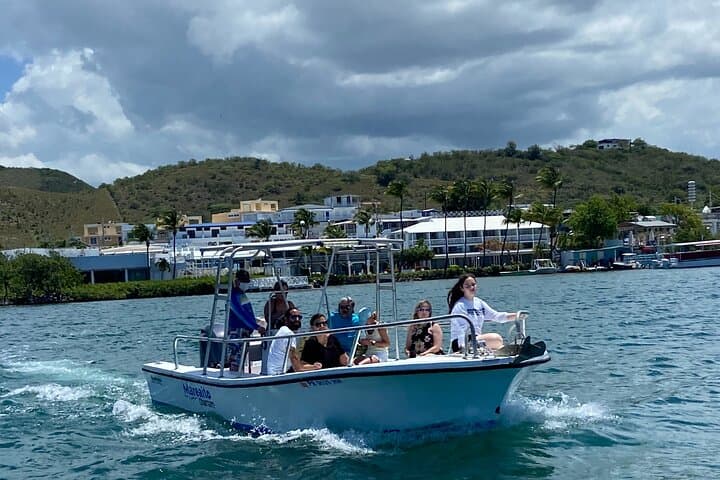 Private Cruise to Cayo Caracoles: Full-Day Sandbar Escape from La Parguera photo 4