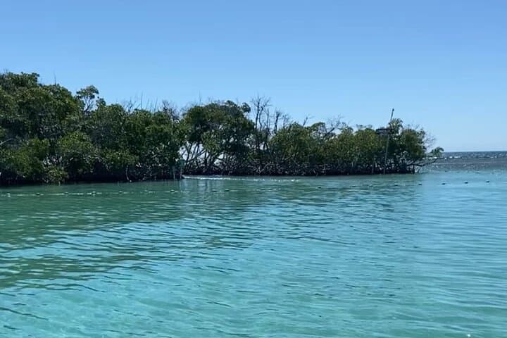 Private Cruise to Cayo Caracoles: Full-Day Sandbar Escape from La Parguera photo 5