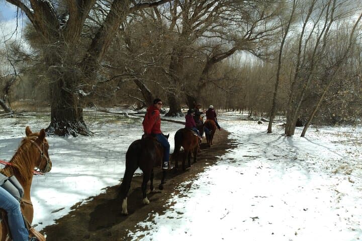 Guided Prescott Horseback Ride: 1.5-Hour Trail Experience photo 6