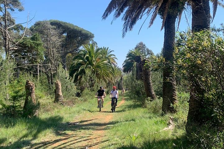 Cliff Top Ride: Bike the Ericeira Coastline from Cascais photo 2