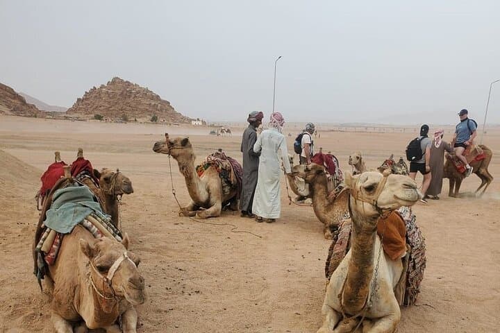 Desert Quad & Camel Safari with Bedouin Dinner in Sharm El Sheikh photo 3