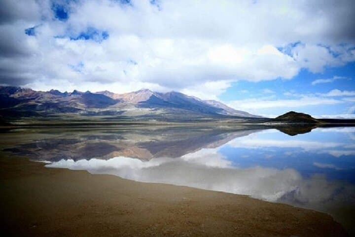 Arequipa Laguna de Salinas Day Tour: Salinas y Aguada Blanca Reserve Wildlife & Volcano Views photo 4