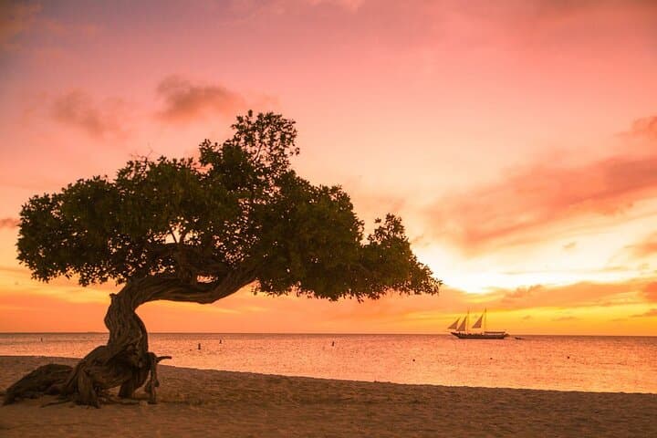 Aruba Couples Counseling Retreat: 3-Hour Private Marriage Session photo 2
