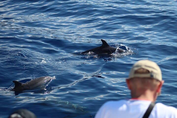 Half-Day Madeira West Coast Cruise with Snorkeling & Lunch photo 3