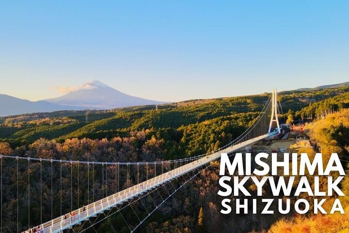 Private Mt. Fuji & Hakone Day Tour from Tokyo — Lake Ashi, Owakudani & Kawaguchiko photo 6