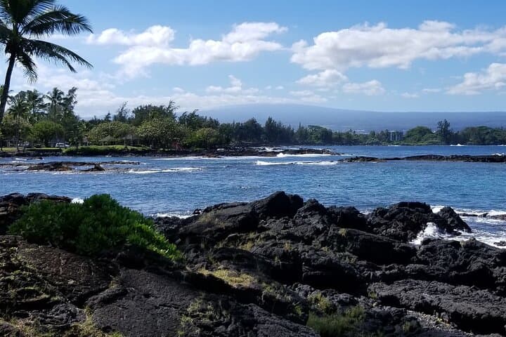 Exploring the Majestic Waterfalls of Hawaii’s Hamakua Coast: A Scenic 3–4 Hour Adventure photo 6