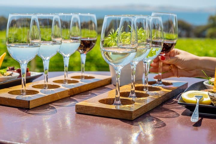 Coffin Bay Day Tour: Oyster Farm Cruise, National Park & Wine Tasting photo 3