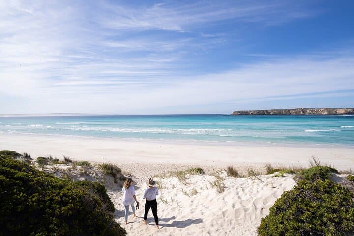 6-Day Eyre Peninsula & Flinders Ranges Adventure — Surf, Wild Koalas & Wilpena Pound photo 2