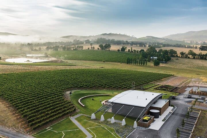 Helicopter Winery Lunch to Levantine Hill — Yarra Valley Scenic Flight & Degustation photo 3