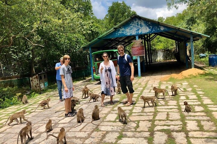 Can Gio Mangrove Trek: Vam Sat Eco Park & Monkey Island One-Day Adventure photo 6