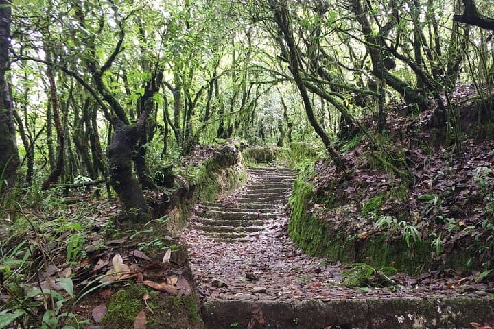 Champa Devi Hike from Kathmandu: Panoramic Valley Views & Village Trail photo 2