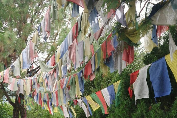 Champa Devi Hike from Kathmandu: Panoramic Valley Views & Village Trail photo 5
