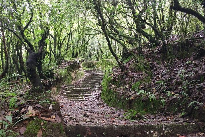 Champa Devi Hike from Kathmandu: Panoramic Valley Views & Village Trail photo 6