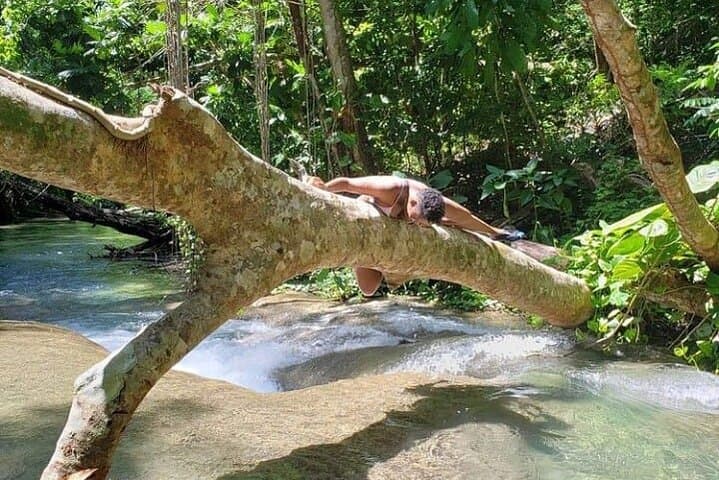 Mayfield Falls Waterfall Tour: Natural Pools, 'Washing Machine' & Lunch photo 3