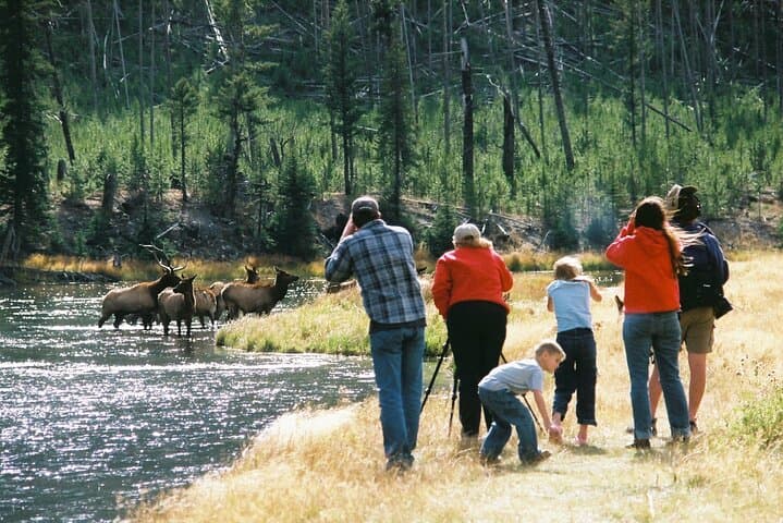 Yellowstone Grand Loop: One-Day Tour of Old Faithful, Grand Prismatic & Canyon photo 3