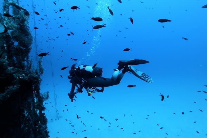 St Paul's Bay Scuba: 2 Fun Dives for Certified Divers in Malta