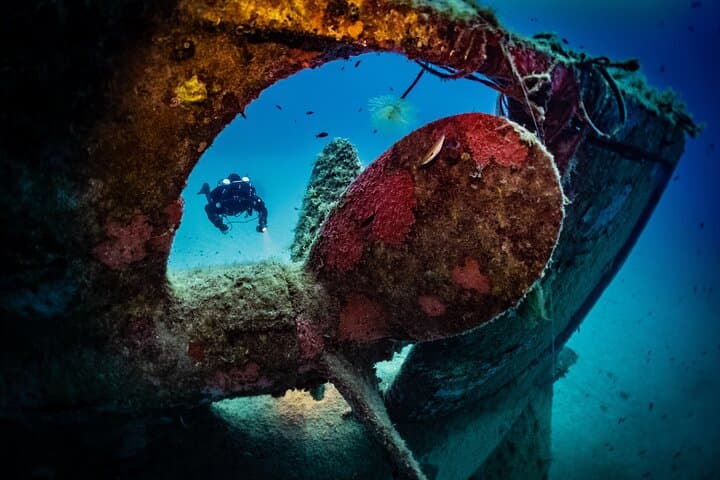 St Paul's Bay Scuba: 2 Fun Dives for Certified Divers in Malta photo 2
