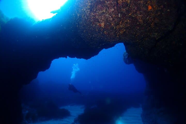 St Paul's Bay Scuba: 2 Fun Dives for Certified Divers in Malta photo 5