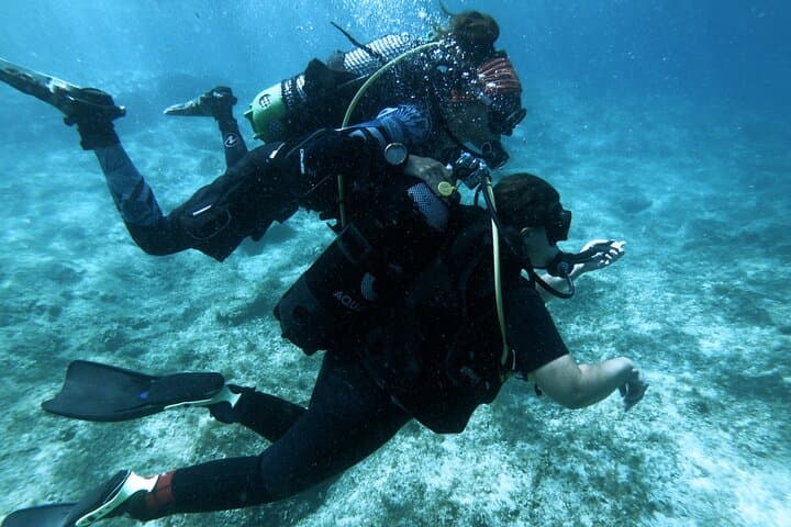 Discover Scuba Diving in Malta: Beginner Shore Dive Experience photo 6