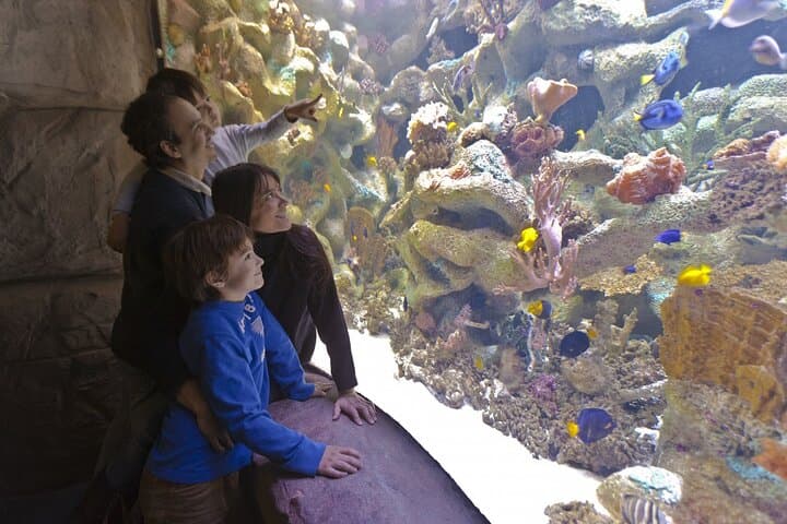 Temaikén Biopark Day Trip from Buenos Aires — Guided Visit with Transfers photo 6
