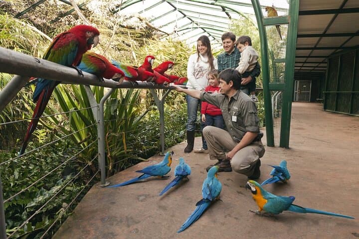 Temaikén Biopark Day Trip from Buenos Aires — Guided Visit with Transfers