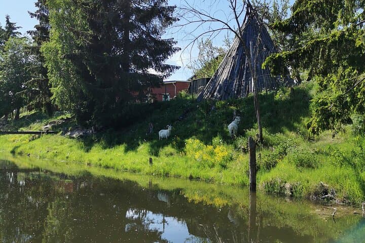 Beaver Safari by Stand‑Up Paddleboard in Hokksund photo 6