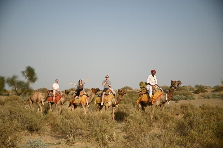 Jaisalmer Overnight Camel Safari & Stargazing: Non‑Touristic Thar Desert Experience
