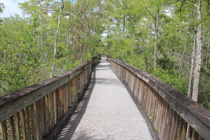 Everglades Day Safari from Miami: A Full-Day Journey into Florida’s Untamed Wetlands photo 4