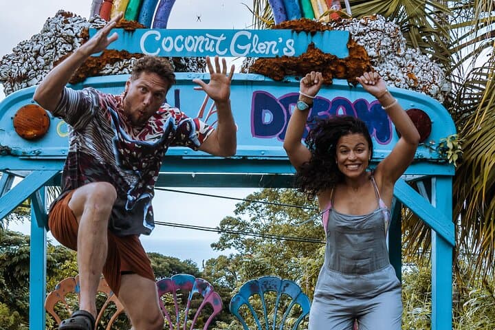 VIP Road to Hana Backstage Pass — Private Maui Adventure from Kahului photo 6