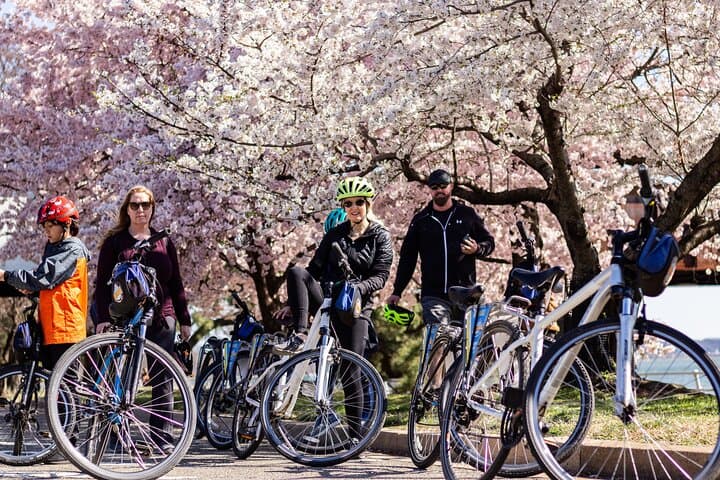 Pedaling the Cherry Blossoms: A 2-Hour Bike Tour Around DC’s Tidal Basin photo 3