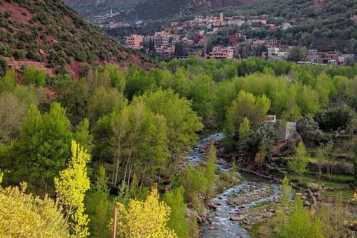 Ourika Valley & Setti Fadma Waterfalls Day Trip from Marrakech photo 5