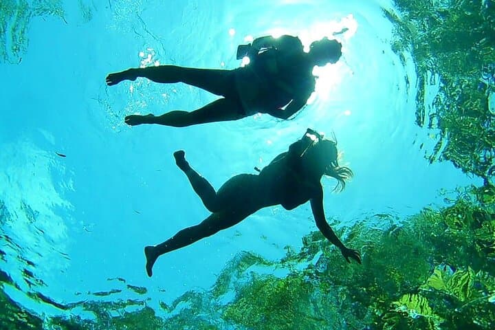 Private Cenotes Tour in Riviera Maya: Yal-Kú, Xunaan Ha & Taak Bi Ha photo 3