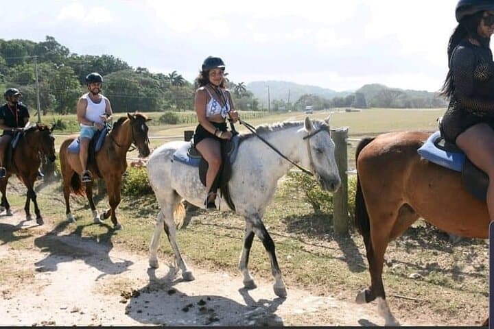 Cascade Blue Hole & Beach Horseback Ride — Ocho Rios Day Adventure photo 4