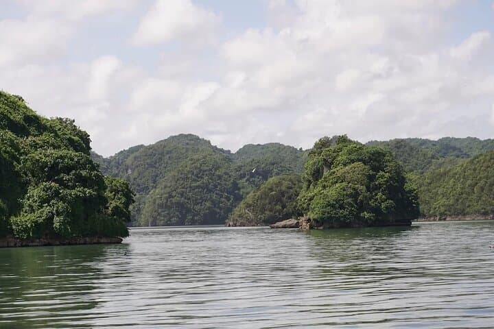 Los Haitises and Cayo Levantado Day Trip from Santo Domingo — Boat Tour to Bacardí Island photo 3