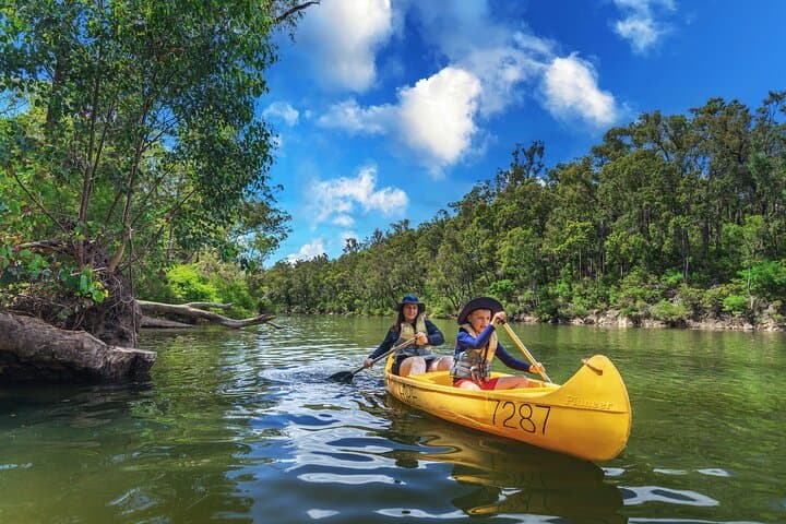 Dwellingup Paddle and Picnic: Self-Guided Murray River Canoe Tour photo 5