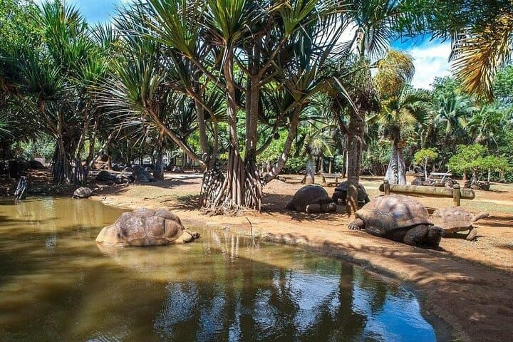 La Vanille Nature Park: Crocodiles, Giant Tortoises & the Insectarium in Mauritius photo 4