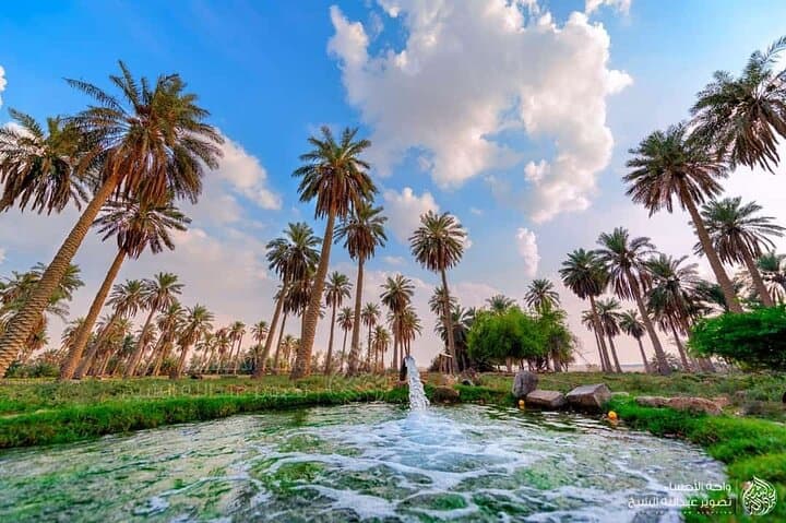 Explore Al Ahsa Oasis: UNESCO World Heritage Tour in Saudi Arabia