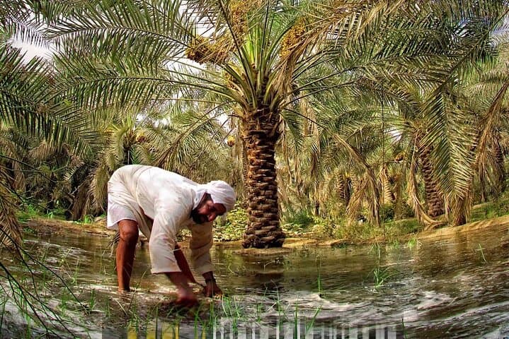 Explore Al Ahsa Oasis: UNESCO World Heritage Tour in Saudi Arabia photo 3