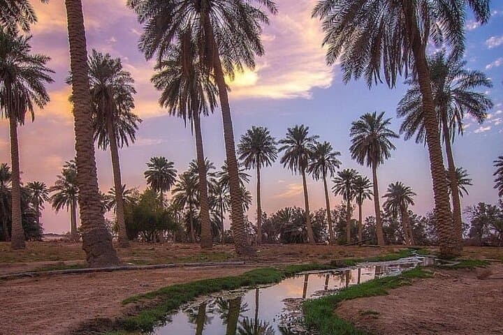 Explore Al Ahsa Oasis: UNESCO World Heritage Tour in Saudi Arabia photo 4