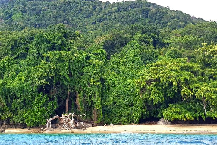 Full-Day Jungle Trek on Nosy Komba: Summit Hike & Black Lemur Sanctuary photo 2
