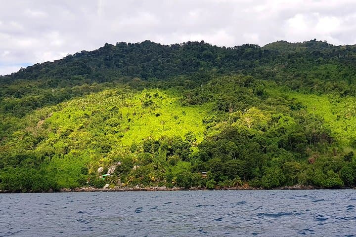 Full-Day Jungle Trek on Nosy Komba: Summit Hike & Black Lemur Sanctuary photo 3