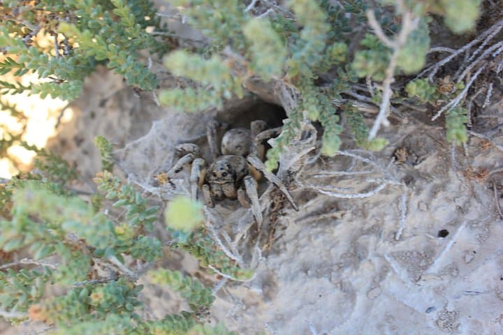 Guided 4x4 Tour of Bardenas Reales: Castildetierra & La Bardena Blanca photo 3