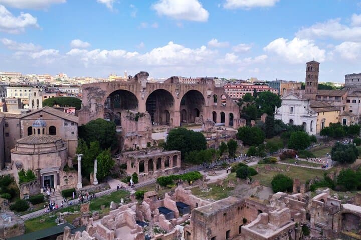 Colosseum, Roman Forum & Palatine Hill Guided Walk — Skip-the-Line photo 5