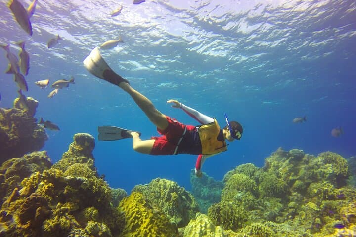 Cozumel Catamaran Snorkel: Palancar Reef & El Cielo with Local Lunch photo 4