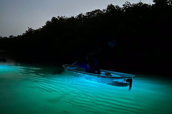 Sunset Glow Clear Kayak Tour at Wiggins Pass — Paddle Barefoot Beach at Dusk photo 6