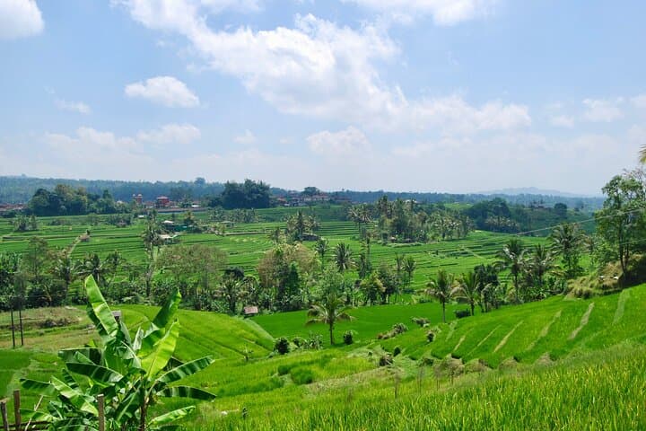 Full-Day Wonders of Bali: Ulun Danu, Gitgit Falls & Jatiluwih Rice Terraces photo 3
